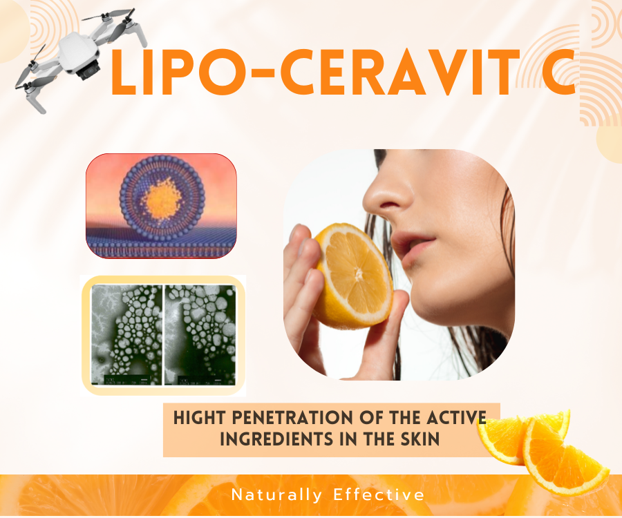 Lipo-Cera Vit C  วิตามินCชนิดละลายในไขมัน อยู่ในรูปไลโพโซม ถูกห่อหุ้มด้วยเซราไมด์(Pure Ceramide Liposomes) มีความเสถียรสูง 